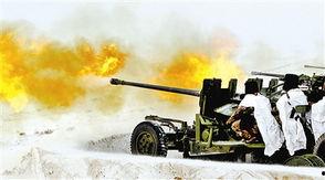 高射炮娱乐吃瓜,揭秘娱乐圈吃瓜背后的真相与笑料  第3张